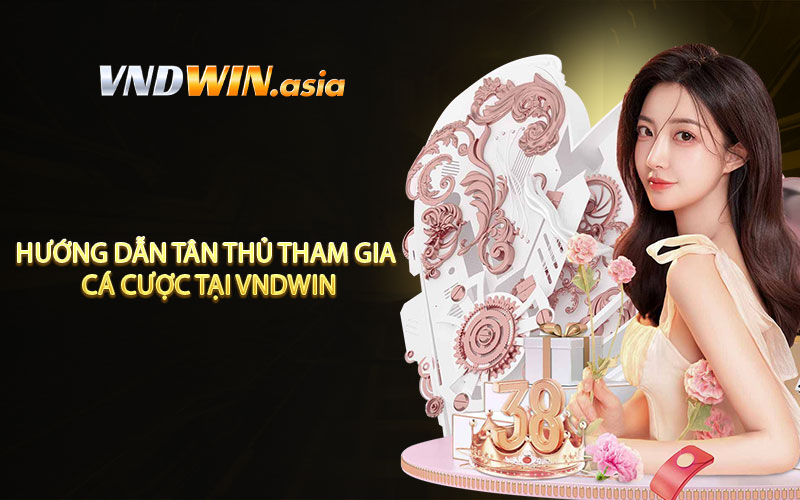 Hướng dẫn tân thủ tham gia cá cược tại VNDWIN