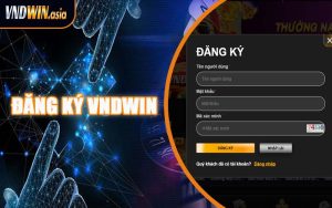 Đăng Ký VNDWIN