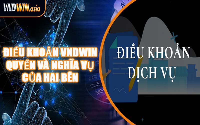 Điều Khoản VNDWIN – Quyền Và Nghĩa Vụ Của Hai Bên